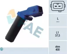 ������ ���� ��������� 79134 ����