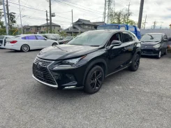 Lexus NX300h. AYZ10, 2ARFXE ����