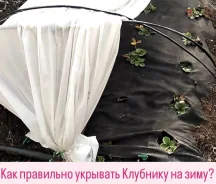 ��� ��������� ������ �������� �� ����. ��� ����� �� ���������� ����