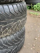 Nordman C. ������, ����������, 2019 ���, �/�, ����� 80 % ����