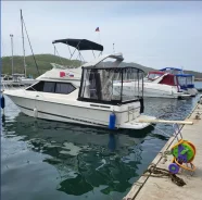 Bayliner. 1996 ���, ����� 9��., ��������� ������������, 310��.�., ������ ����