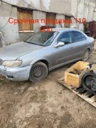 Nissan Bluebird Sylphy ����