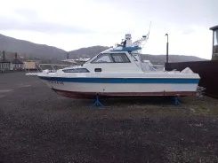 Yamaha FR-25. 1998 ���, ����� 8,5��., ��������� ���������, ������ ����