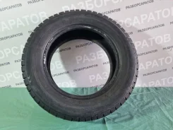 ���� Euro-519