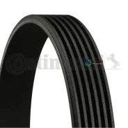 ������ ������������ Continental 6PK905Extra 6PK905EXTRA ����