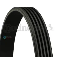 ������ �/� Continental 5PK1025 5PK1025 ����