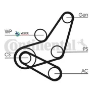 �������� ��������� ������ ��� FORD C-MAX 1.6 100 �. �. 07- Continental 6PK1059Elastt2 Continental 6PK1059Elastt2 6PK1059ELASTT2 ����