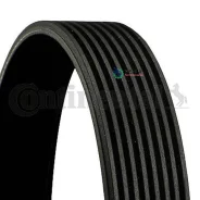 ������ ������������ Continental 8PK1538 8PK1538 ����