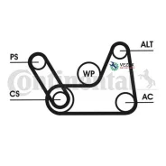 ������ ������������ Continental 6PK1019Elastt1 6PK1019ELASTT1 ����