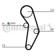 �������� ����� ��� VAG A3/A4/Octavia/GOLF 4/GOLF 5/GOLF 6/Passat/Jetta 3 96- 1.6/2.0 Continental CT908K1 CT908K1 ����