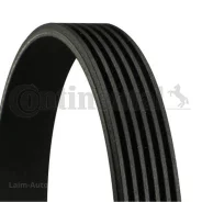 ������ ��������. Contitech 6PK873ELAST ����