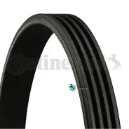 ������ ������������ Contitech Continental 4PK643Elast 4PK643ELAST ����