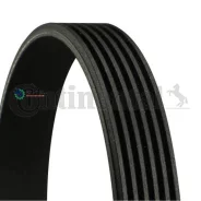 ������ ������������ Continental 6PK1264 6PK1264 ����