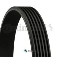 ������ ������������ Contitech Continental 6PK900 6PK900 ����