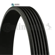 ������ ������������ Contitech ��� Kalina Continental 6PK884 6PK884 ����