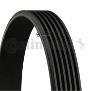 ������ ������������ Contitech Continental 6PK815 6PK815 ����
