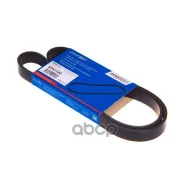 ������ ������������ Avantech 117203527R Avantech 6PK1130 Avantech ���. 6PK1130 6PK1130 ����