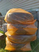 ZMax Gallopro H/T. ������, ����� ����