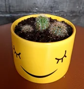 ������. ����