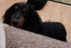�����. ����