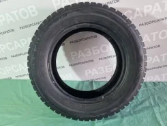 ���� Euro-519