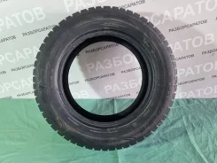 ���� Euro-519