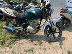 Irbis. 250����. ��., ��� ���, ������ �� �� ����