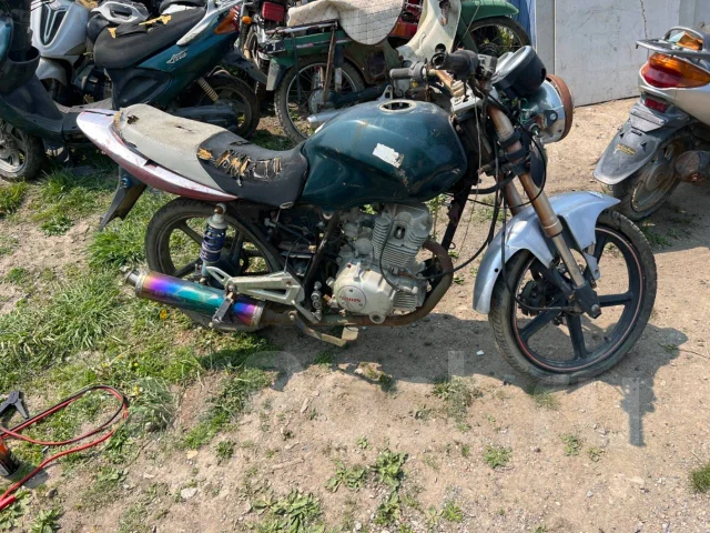 Irbis. 250����. ��., ��� ���, ������ �� �� ����