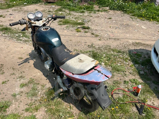 Irbis. 250����. ��., ��� ���, ������ �� �� ����