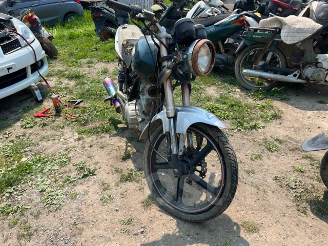 Irbis. 250����. ��., ��� ���, ������ �� �� ����