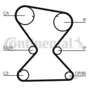 ������ ��� Continental CT842 CT842 ����