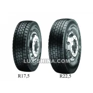 Apollo Endurace RD
