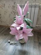 ���������� ����� �� ������� ����