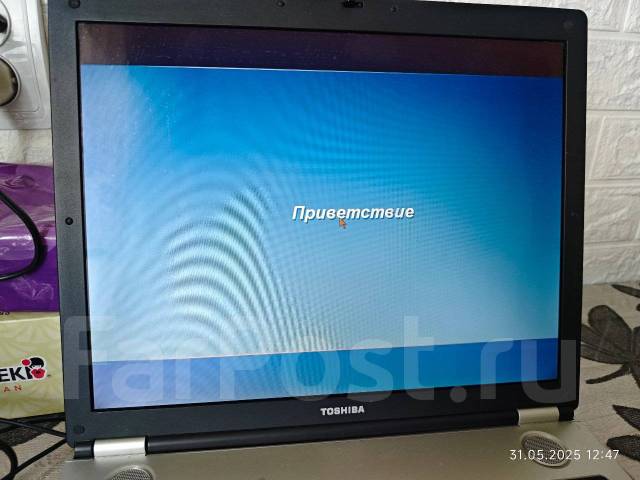 Toshiba Satellite ����