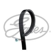 ������ �/� 4PK895 Gates 4PK895SF 4PK895SF ����