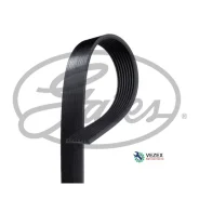 ������ �/� Gates 8PK1173 8PK1173 ����