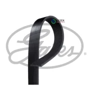 ������ ������������ Gates 8PK2485 8PK2485 ����