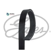 ������ ������������ MB A-Class (W169), B-Class (W245) XF Gates 5PK1310 5PK1310 ����