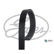 ������ ������������ MB A W168 97-04, Vaneo 1.6, 1.9 02- XF 58388 Gates 5PK1290 5PK1290 ����