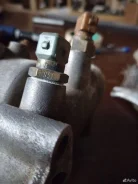 ������ ����������� �� BMW ����