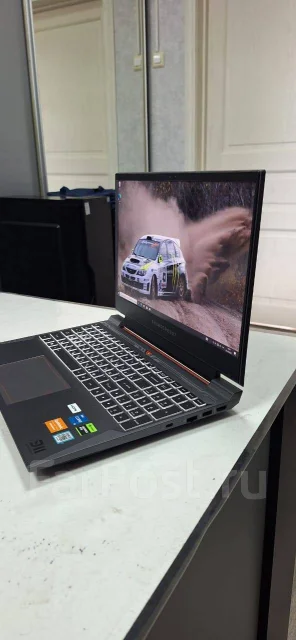 Thunderobot. 15.6", ��� 16 ��, ���� 512���, WiFi: 1, Bluetooth: 1, ����������� �� 3��. ����