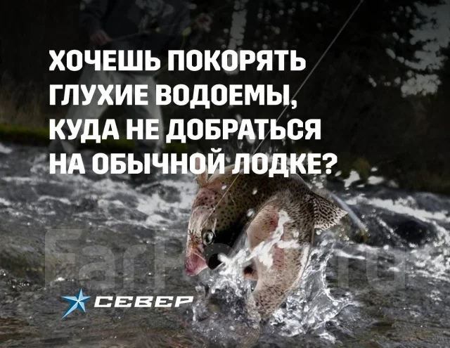 ����� ������� 650. 2024 ���, ����� 7��., ��������� ������������, 290��.�., ������ ����