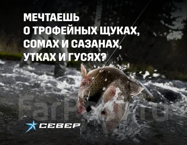����� ������� 650. 2024 ���, ����� 7��., ��������� ������������, 290��.�., ������ ����