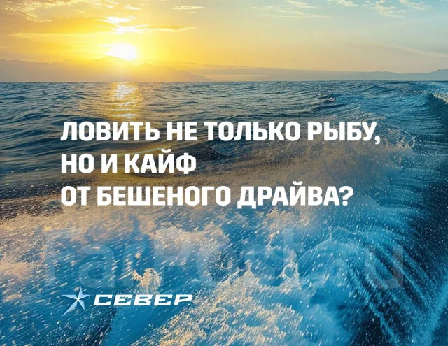 ����� 650�. 2025 ���, ����� 7,8��., ��������� ������������, 430��.�., ������. ��� ����� �� ����������� ����