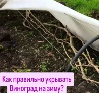 ��� ��������� ������ �������� �� ����. ��� ����� �� ���������� ����