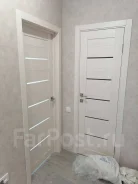��������� ������. ����