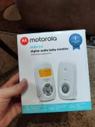 ���������. ����