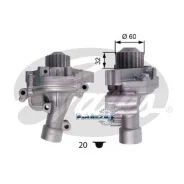 ����� ������� � ����� Gates WP0080 WP0080 ����