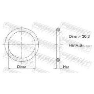 ������ �������������� 30.3X3 19400-001 Febest 19400-001 19400001 ����