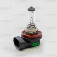 ����� H16 12V (19W) DayNight Carberry 31CA6 31CA6 ����